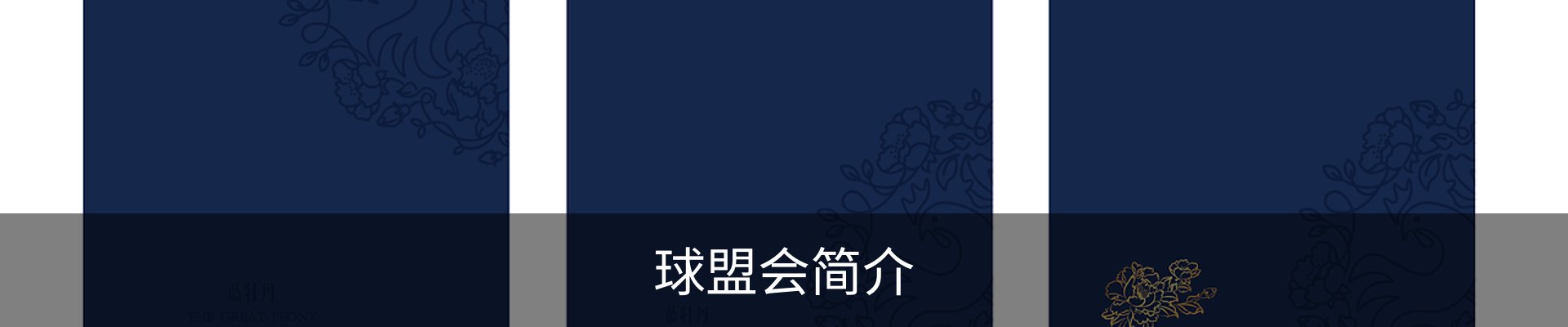 球盟会简介